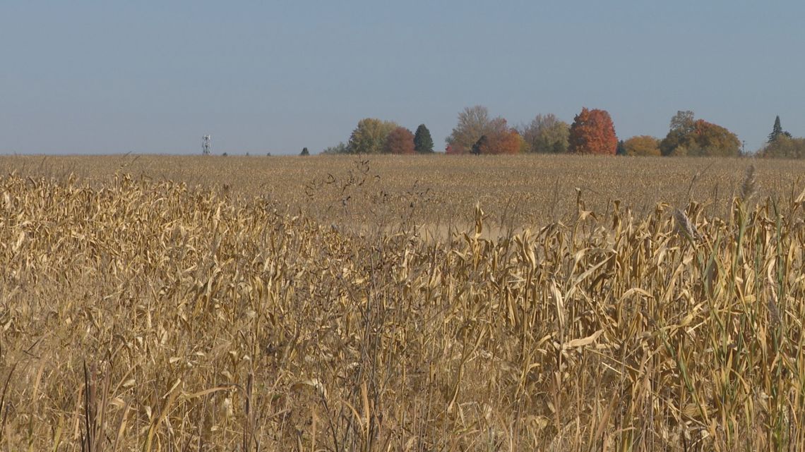 Microsoft buys massive plot of Kent County land | wzzm13.com