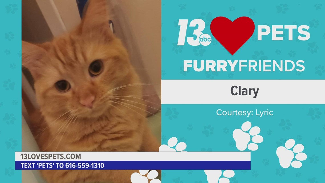 Furry Friends:  October 4, 2022 | Clary