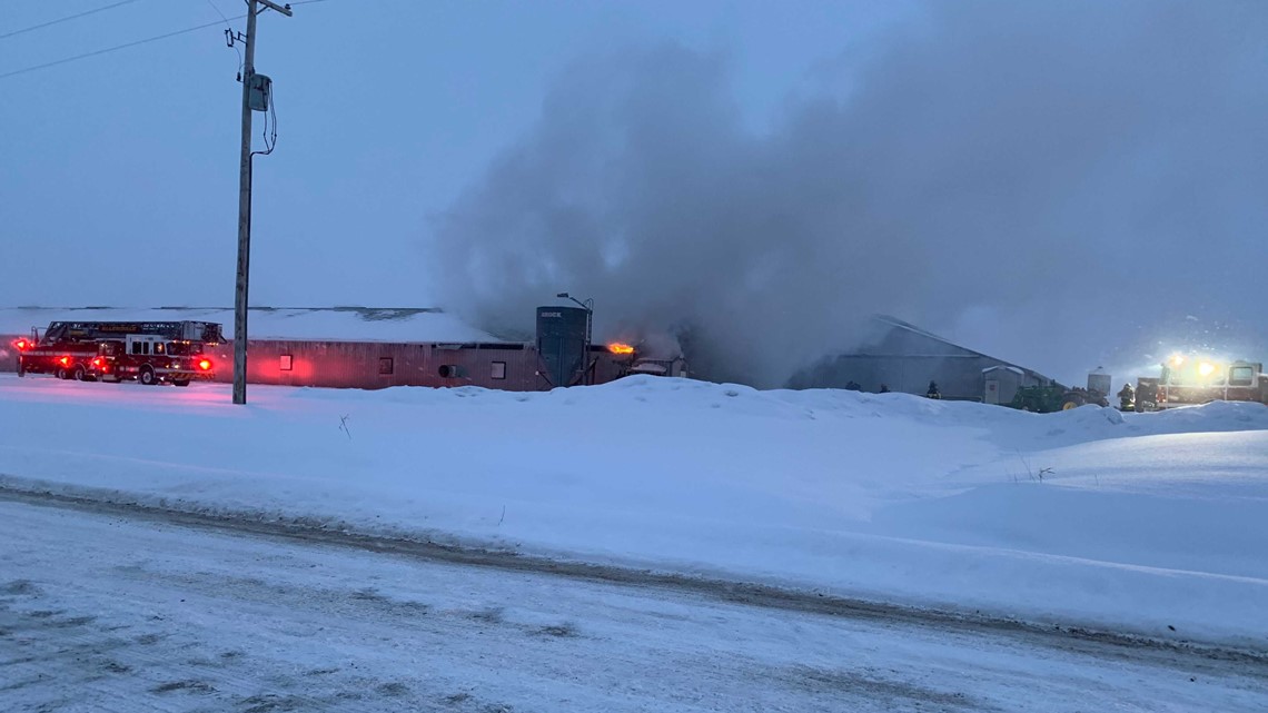 Young turkeys killed in barn fire in Ottawa County