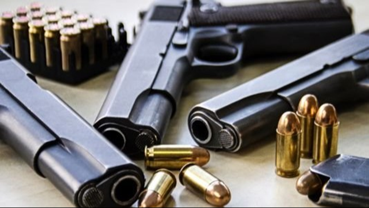 Grand Rapids City Commission passes 'needed' gun buyback program