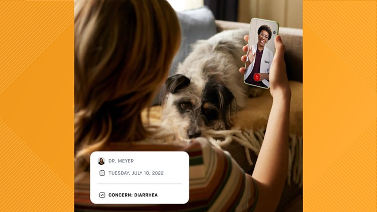 Virtual care now extended to pets