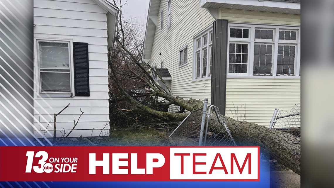 Large, dead trees cause issues for Muskegon residents