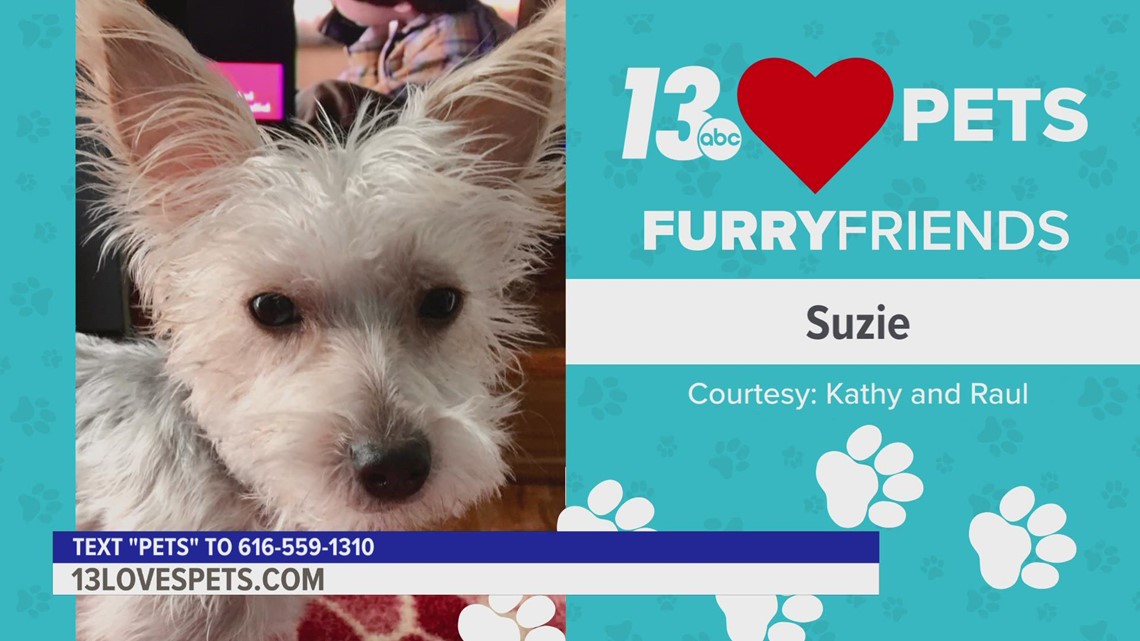 Furry Friends:  October 4, 2022 | Suzie