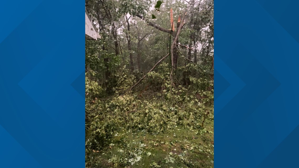 Storms Cause Severe Damage, Power Outages Across West Michigan | Wzzm13.com