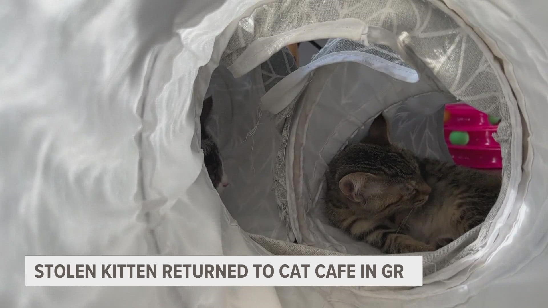 A stolen kitten in Grand Rapids has been found and reunited with a Cat Café after being gone for nearly a week.