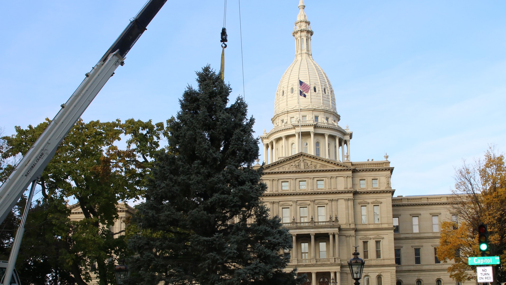 Michigan state Christmas tree installed at Capitol