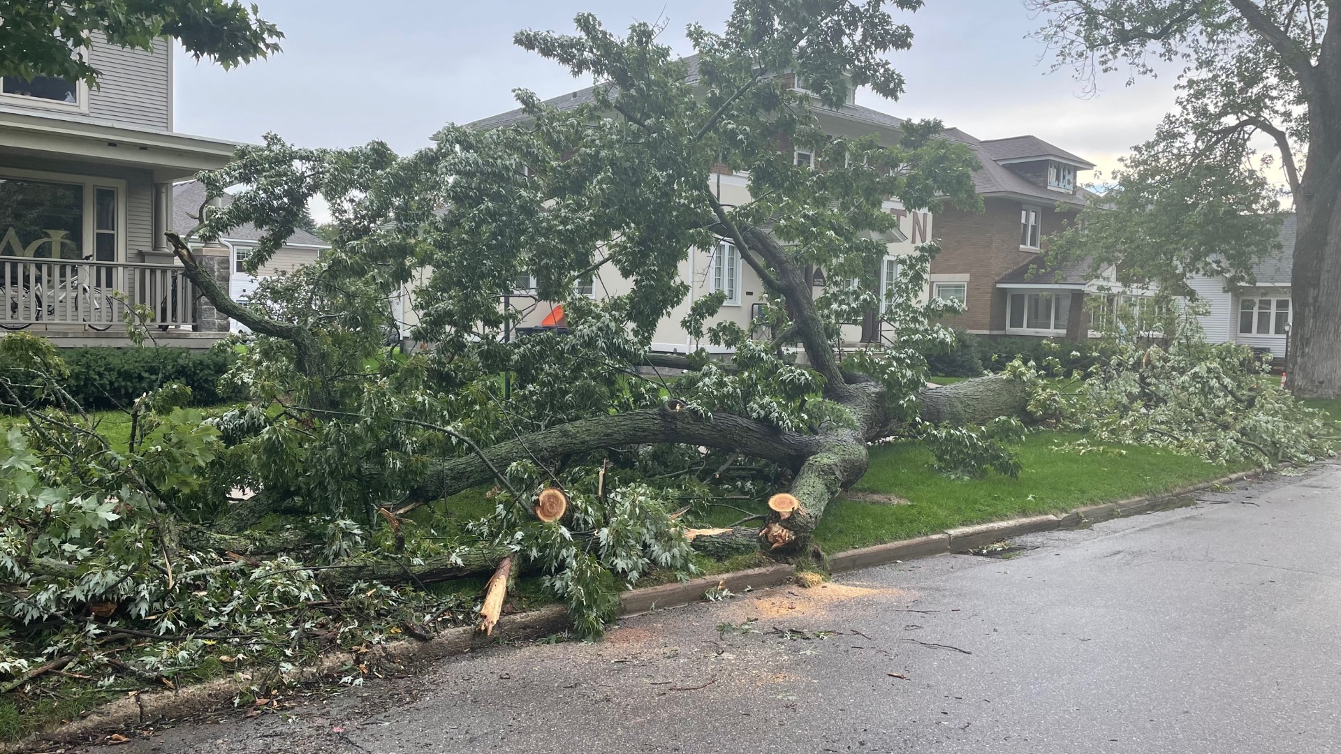 Downed trees and wires caused by the storms have left many Michiganders in the dark on Tuesday.