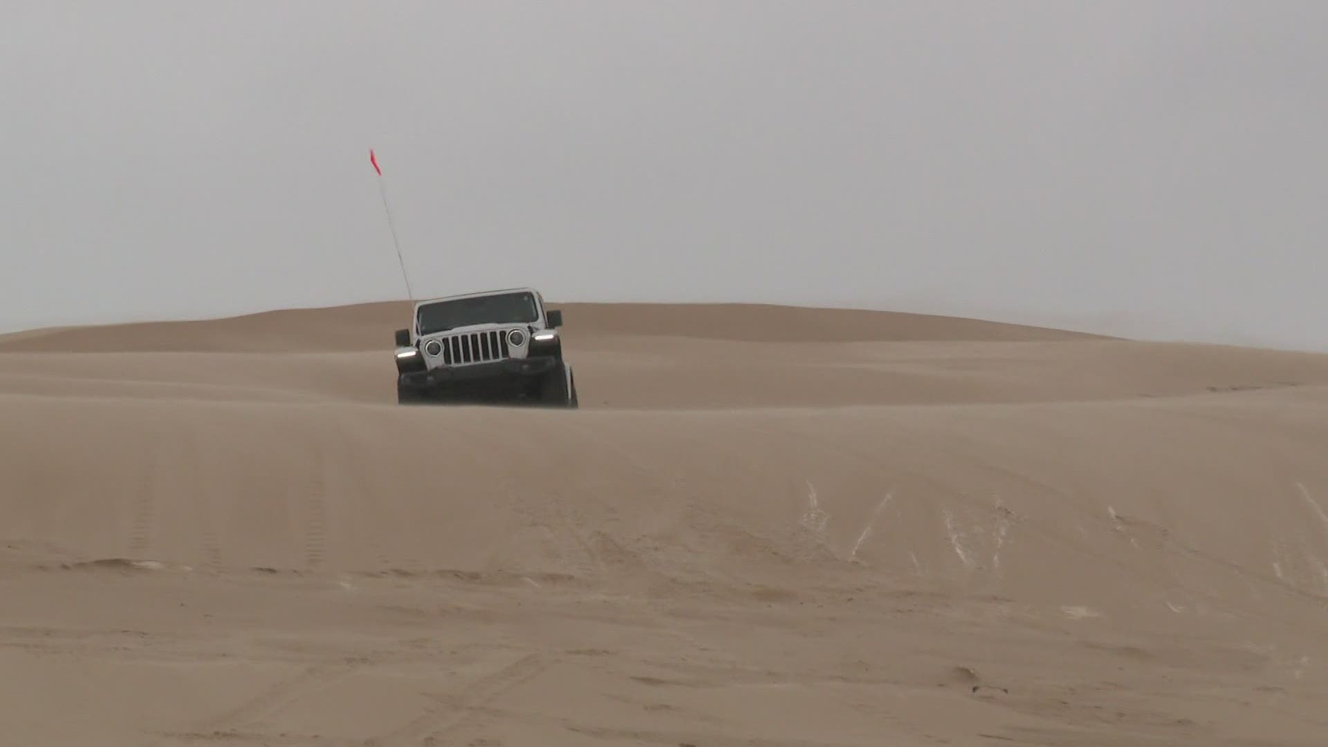 are dogs allowed in silver lake sand dunes