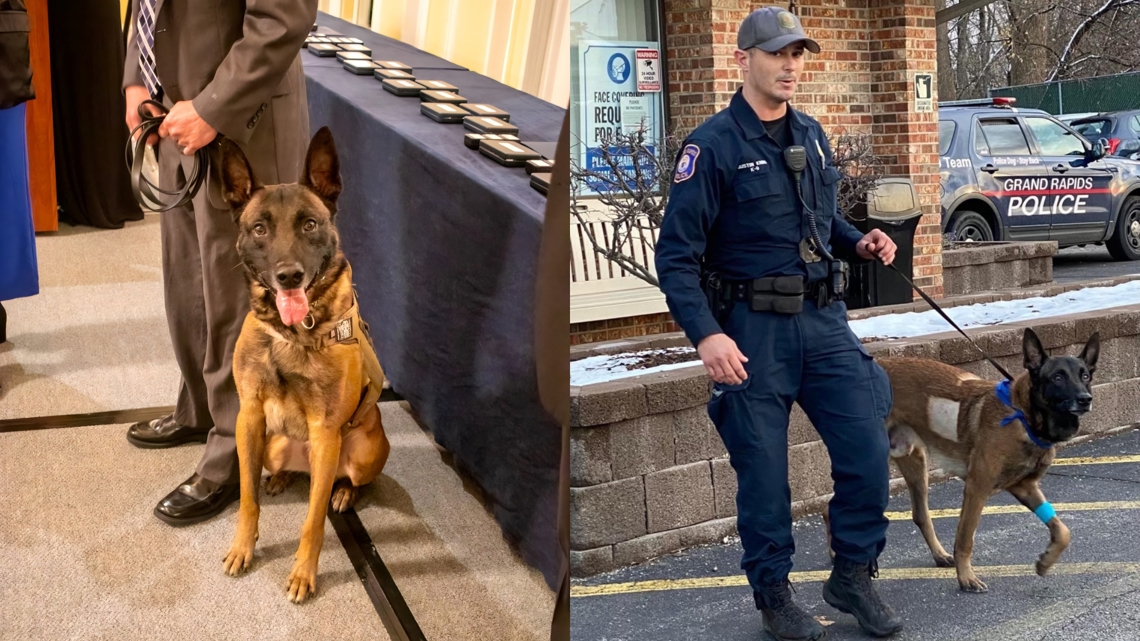 'A GOOD BOY' | GRPD K9 previously stabbed in line of duty retiring ...