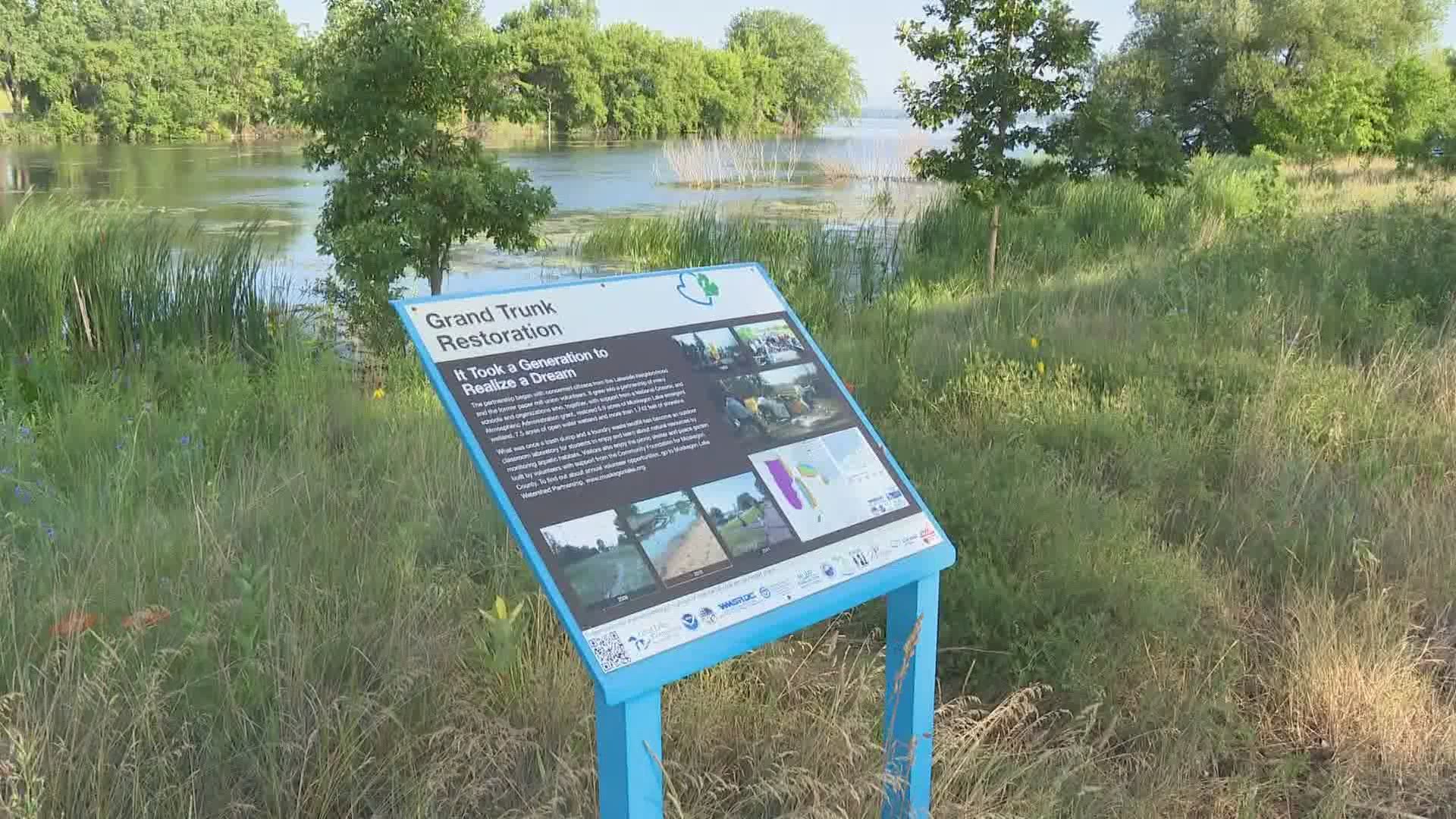 Open Water Marathon Swimmer Michelle Rogalski completed a 10-mile swim in Muskegon Lake Wednesday to tour completed restoration sites along the shoreline.