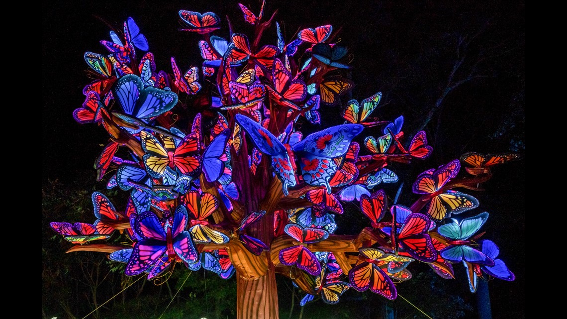 Grand Rapids Lantern Festival 2023 guide