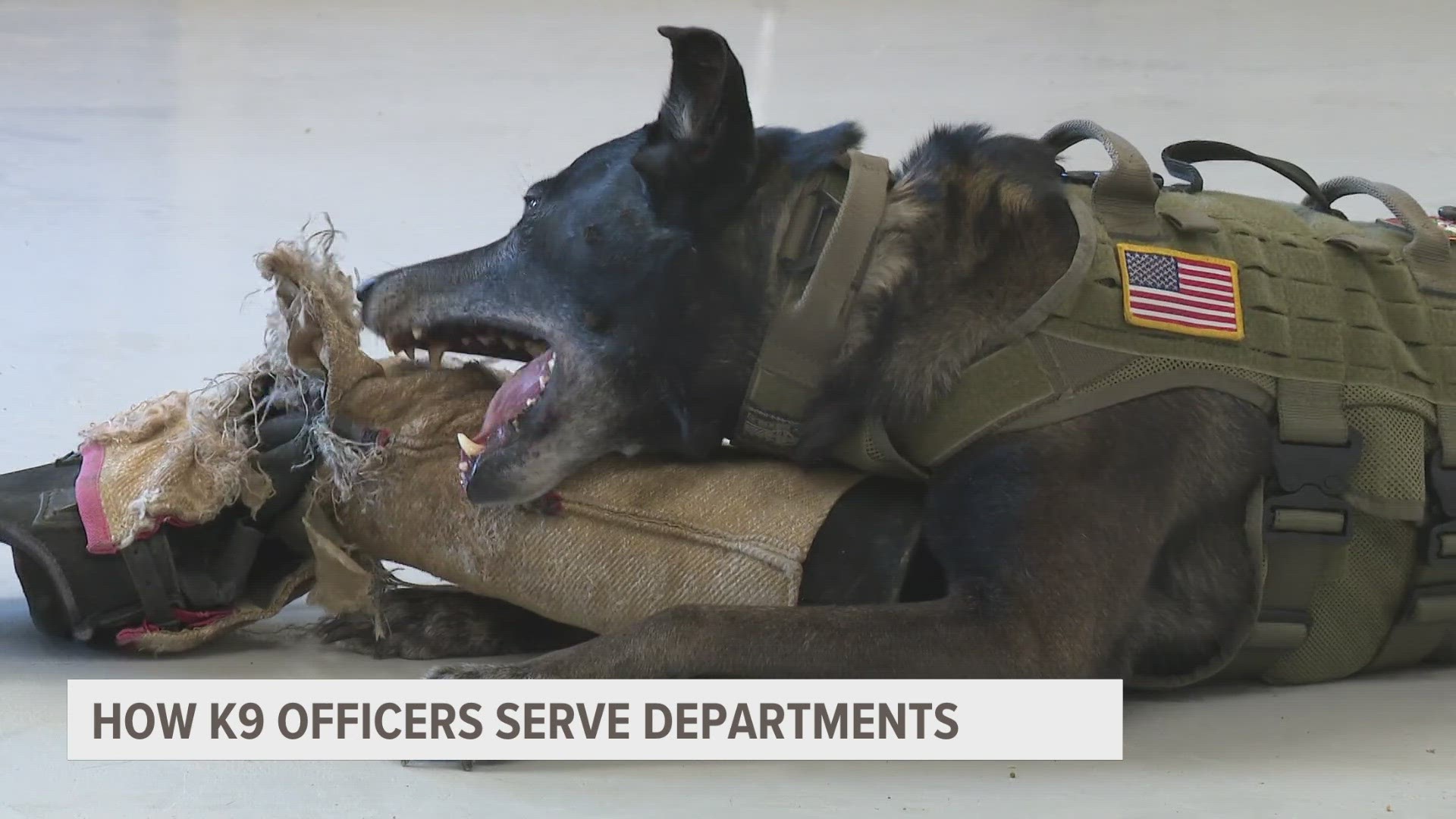Jason Arnold of Grand Rapids K9 explained that K9 officers may be deployed if there is an immediate danger to the lives of officers and civilians.