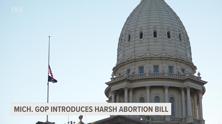 Michigan bill would punish abortion providers
