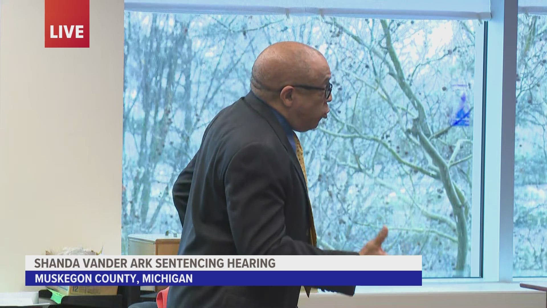 The defense attorney for Shanda Vander Ark tried to convince the judge to consider her background ahead of hearing her sentence.