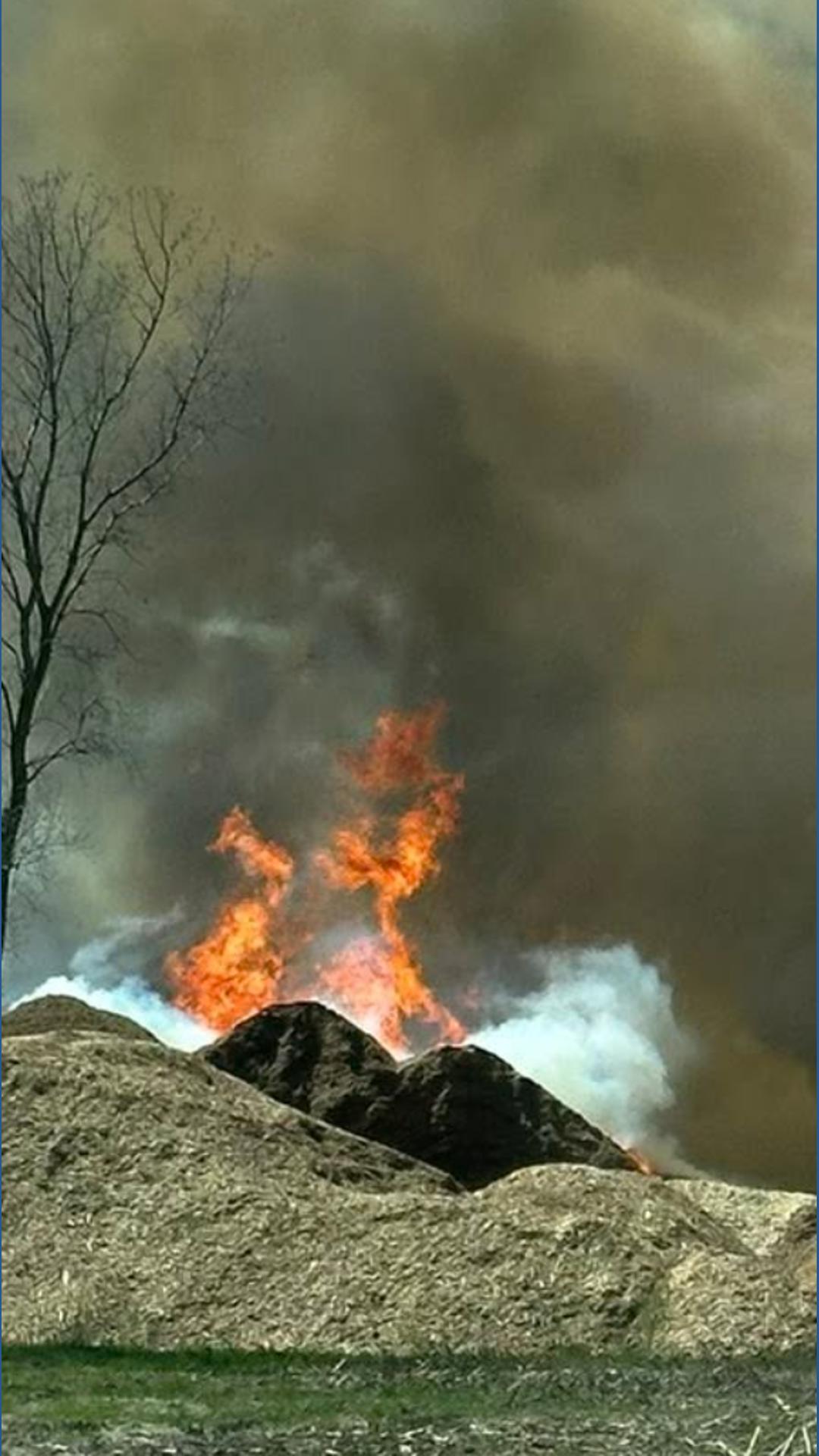 燃える樹 No injuries in fire at Zeeland-area mulch supplier | wzzm13.com