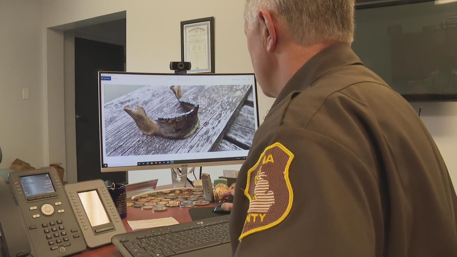 The Oceana County Sheriff's Office believes the jawbone is old enough to be a Native American artifact, and the remains will be sent to various labs for analysis.