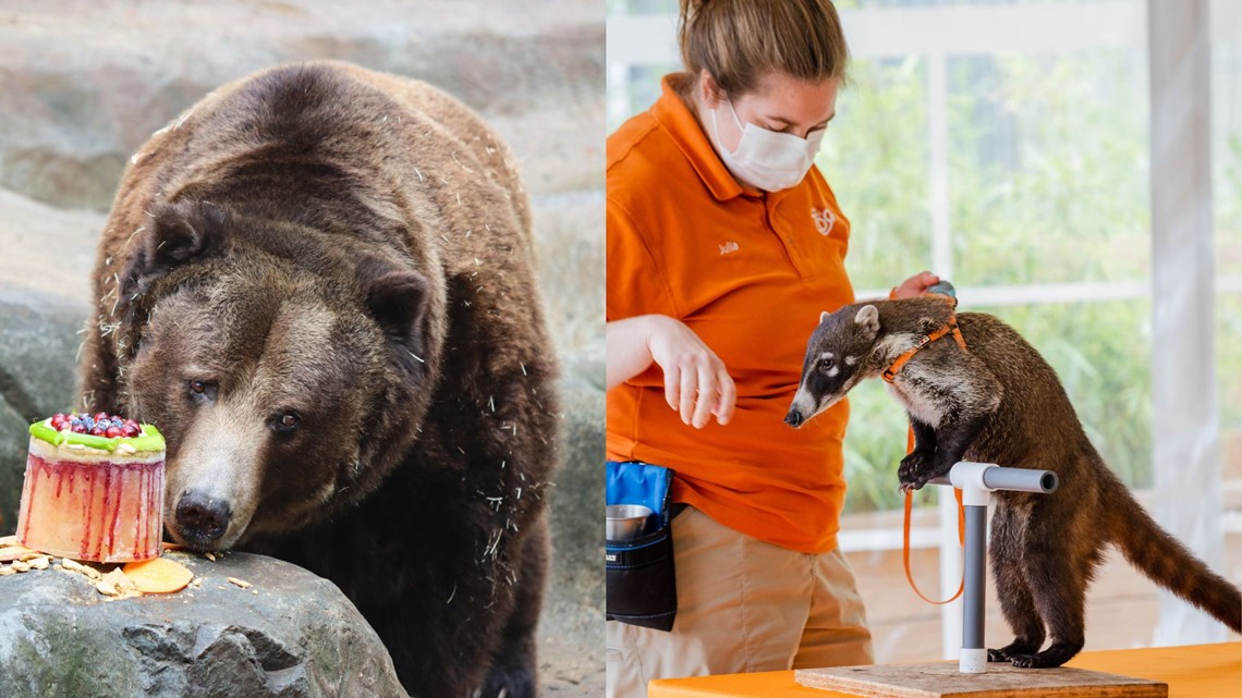 John Ball Zoo offering Daily Animal Programs for guests - Vimarsana News
