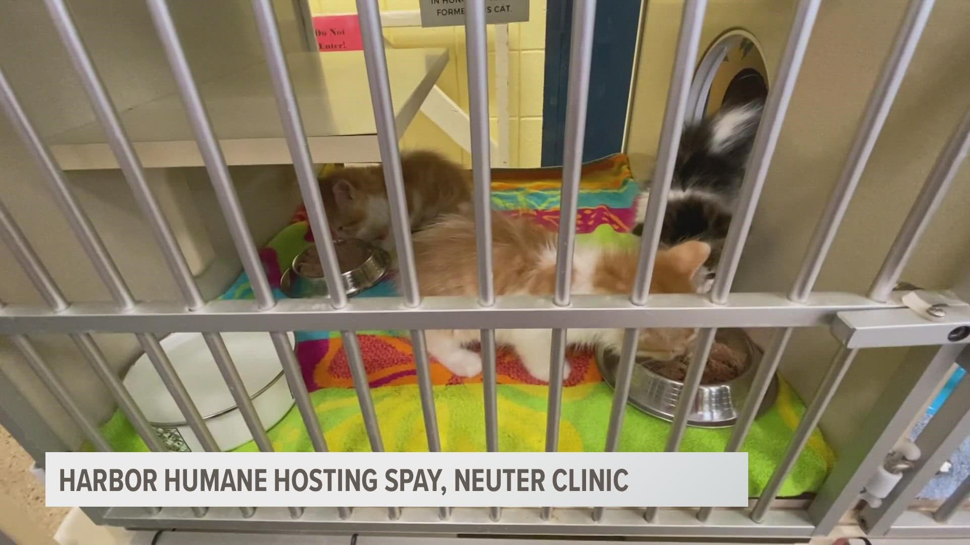 The Harbor Humane Society is hosting a free spay and neuter clinic for their feline friends, which includes a free microchip, on Saturday, April 30.