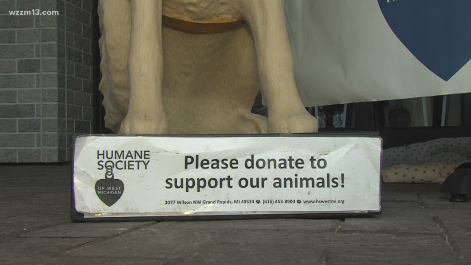 Humane Society of West Michigan hosts 'Puppies on the Patio' event at downtown GR restaurant