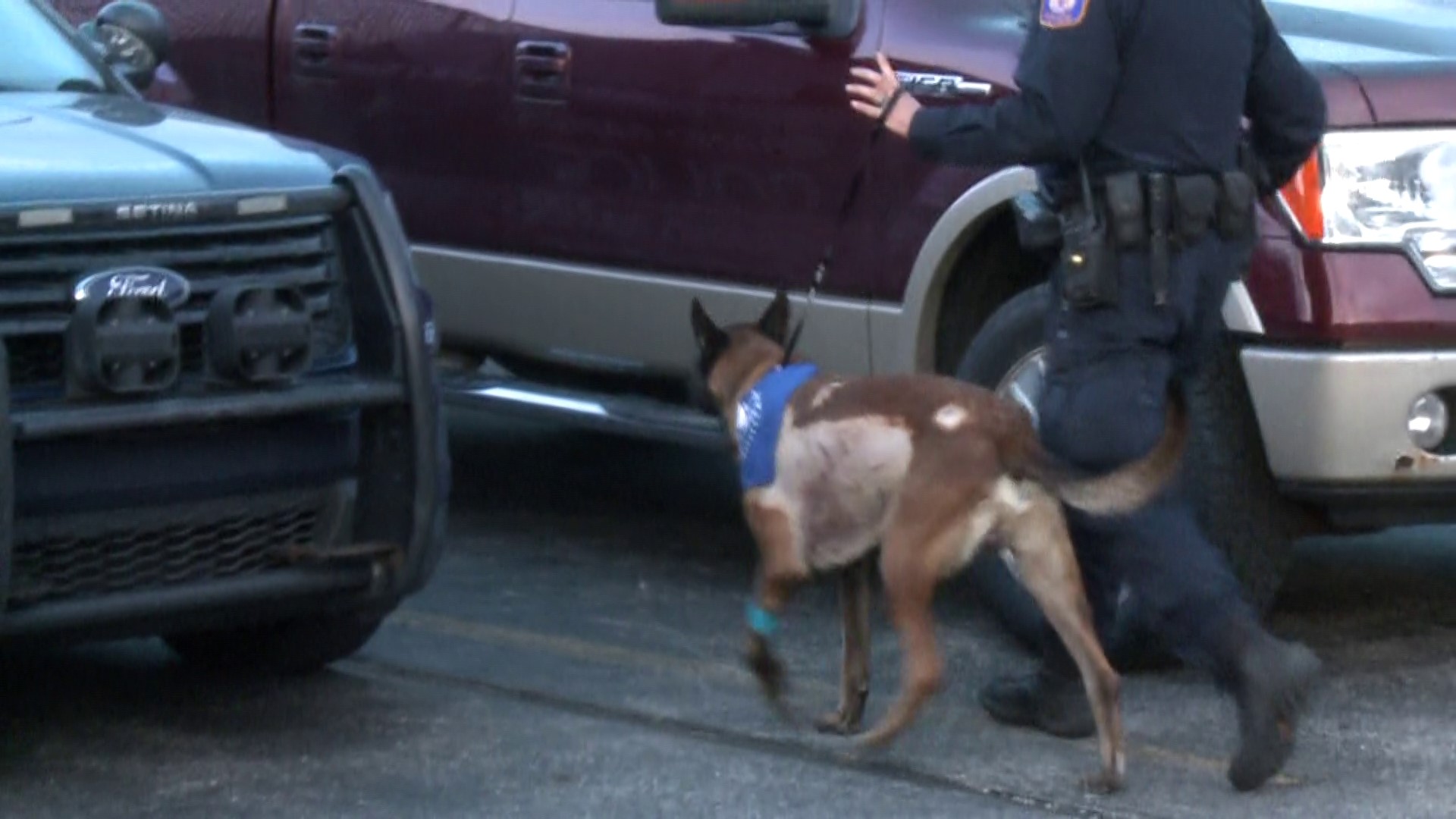 Grand Rapids Police said "Eli" the K9 officer who was stabbed as he was confronting a suspect is "in good spirits" and will be recovering at home.