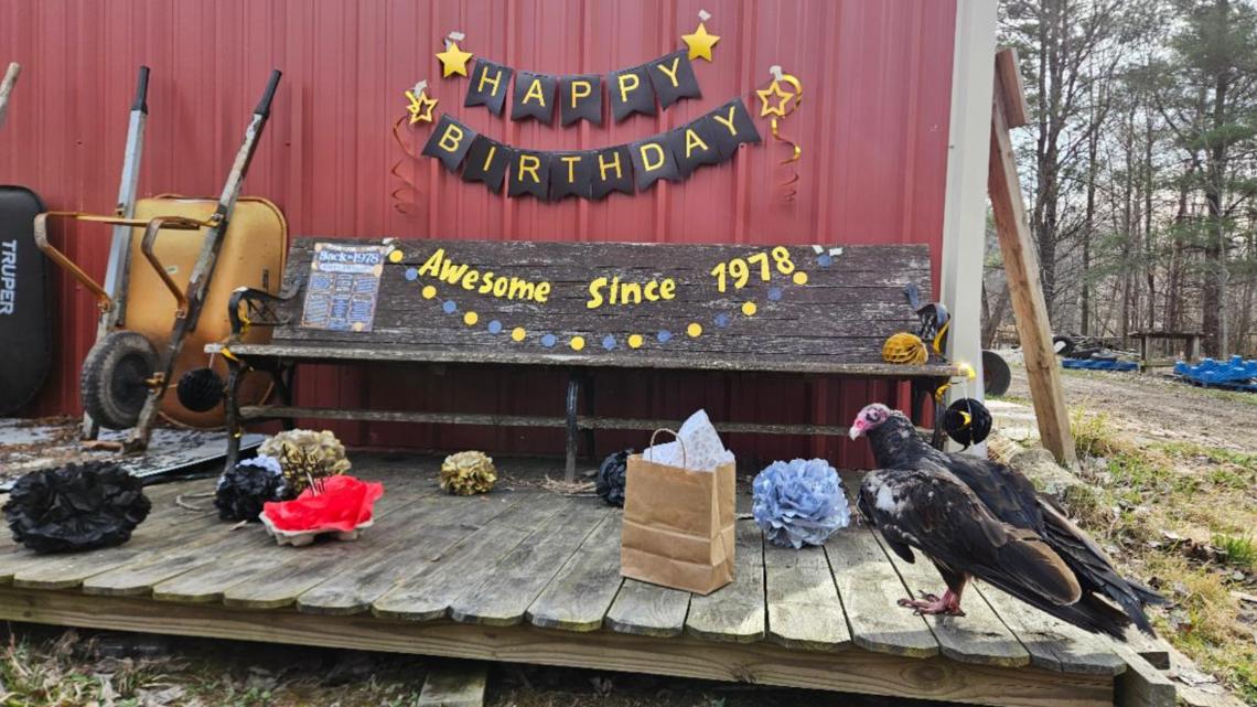 Blandford Nature Center holding 48th birthday party for turkey vulture Lucy