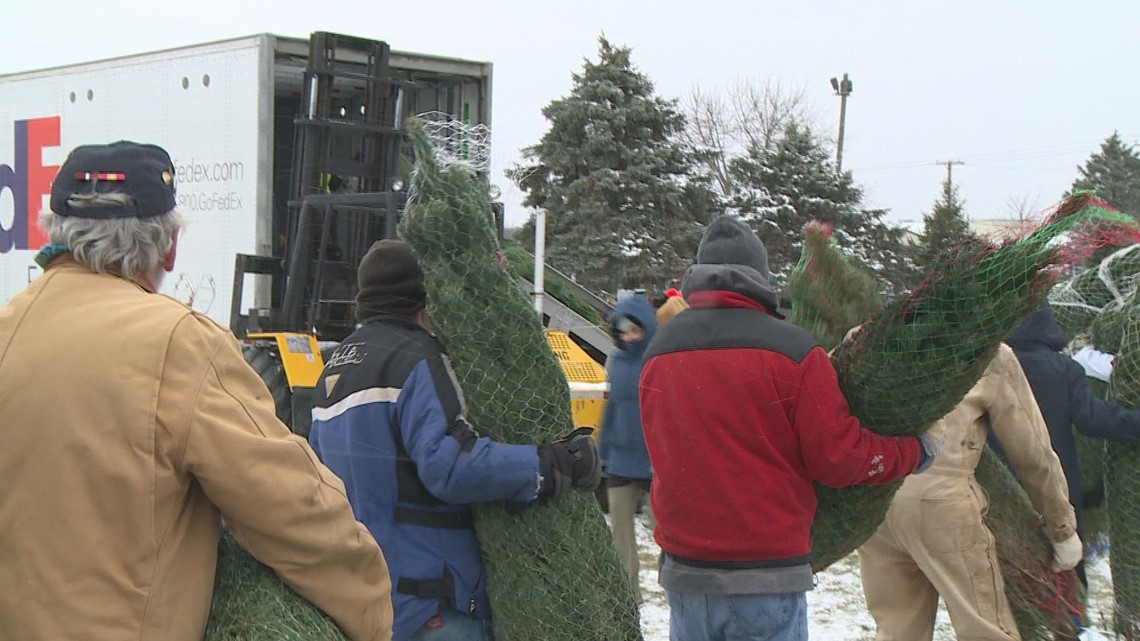 West Michigan Christmas trees headed to military bases