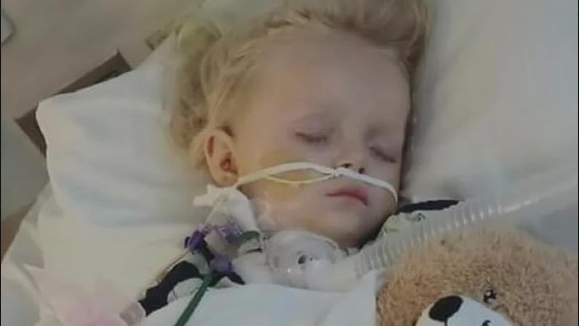 The 5-year-old girl is recovering in the hospital due to a dog bite to her neck that happened at a New Year's Eve celebration.