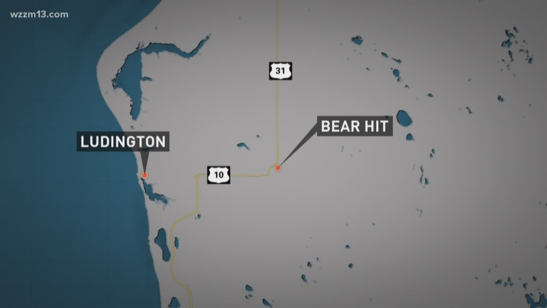 Bear killed in Mason County crash