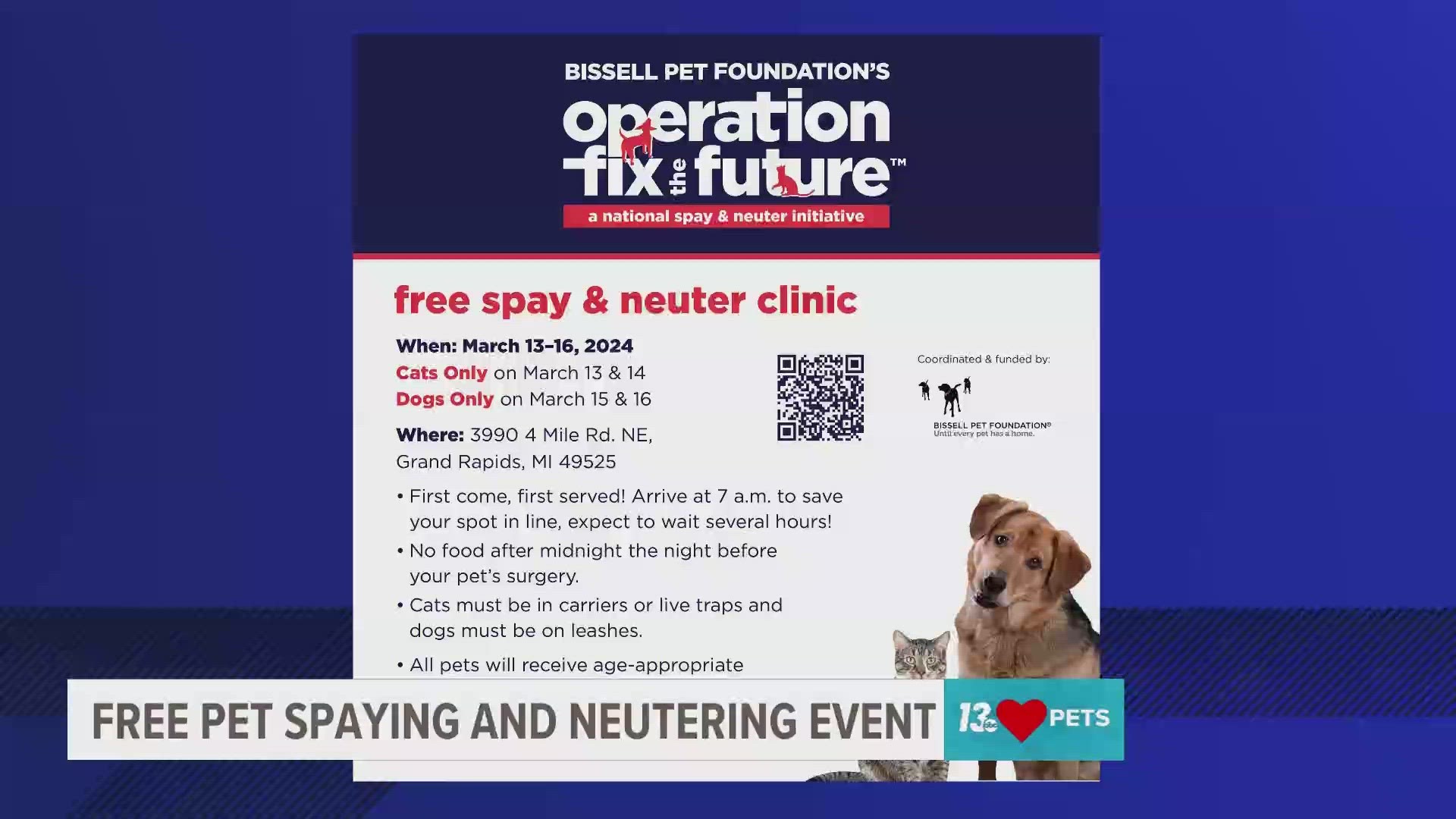 Free best sale dog neutering