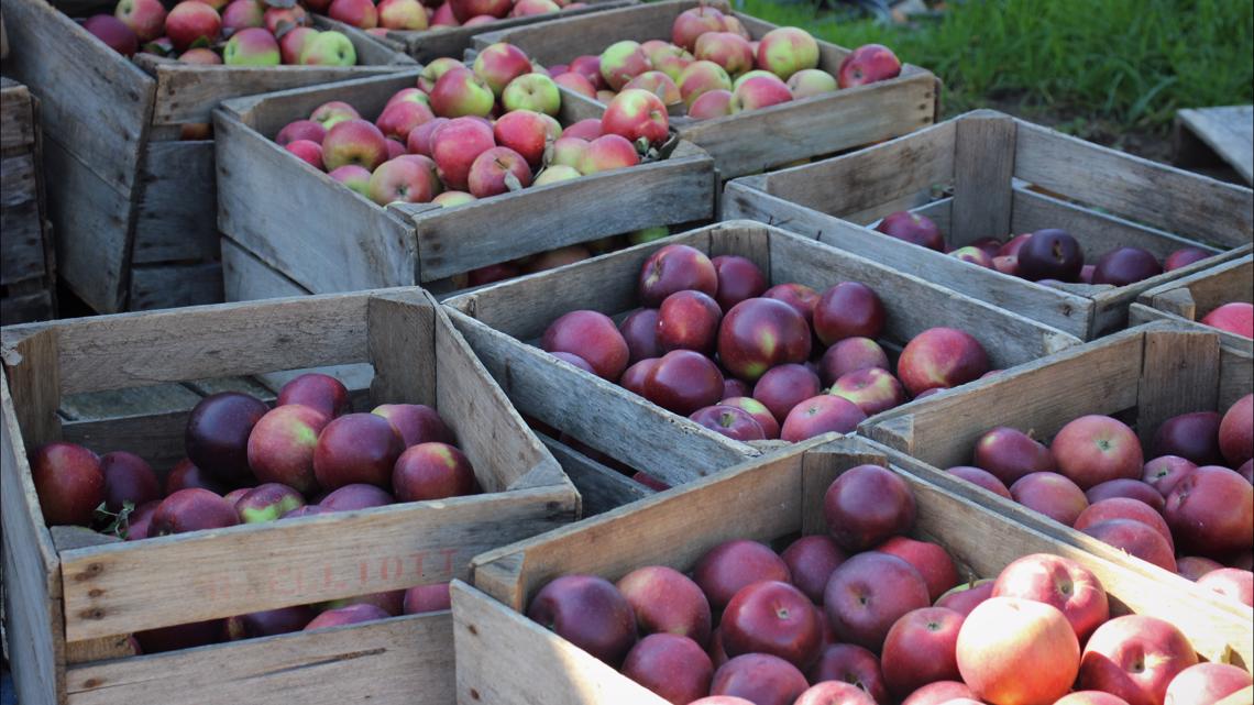 Grandview Orchard, Hudsonville | wzzm13.com