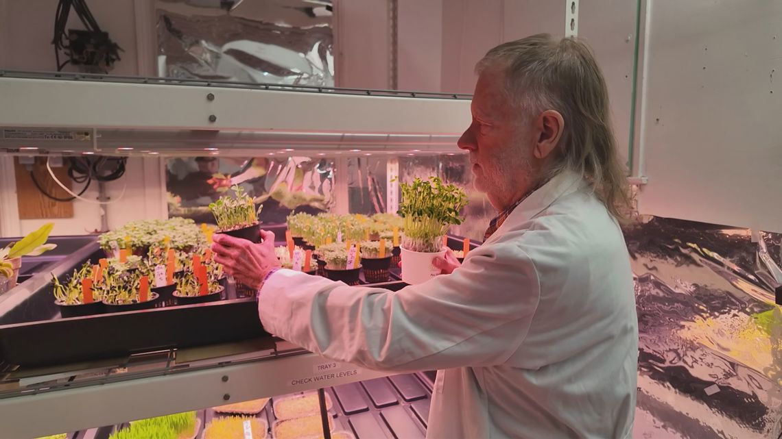 Grants that would pay for mental health services for farmers no longer being funded