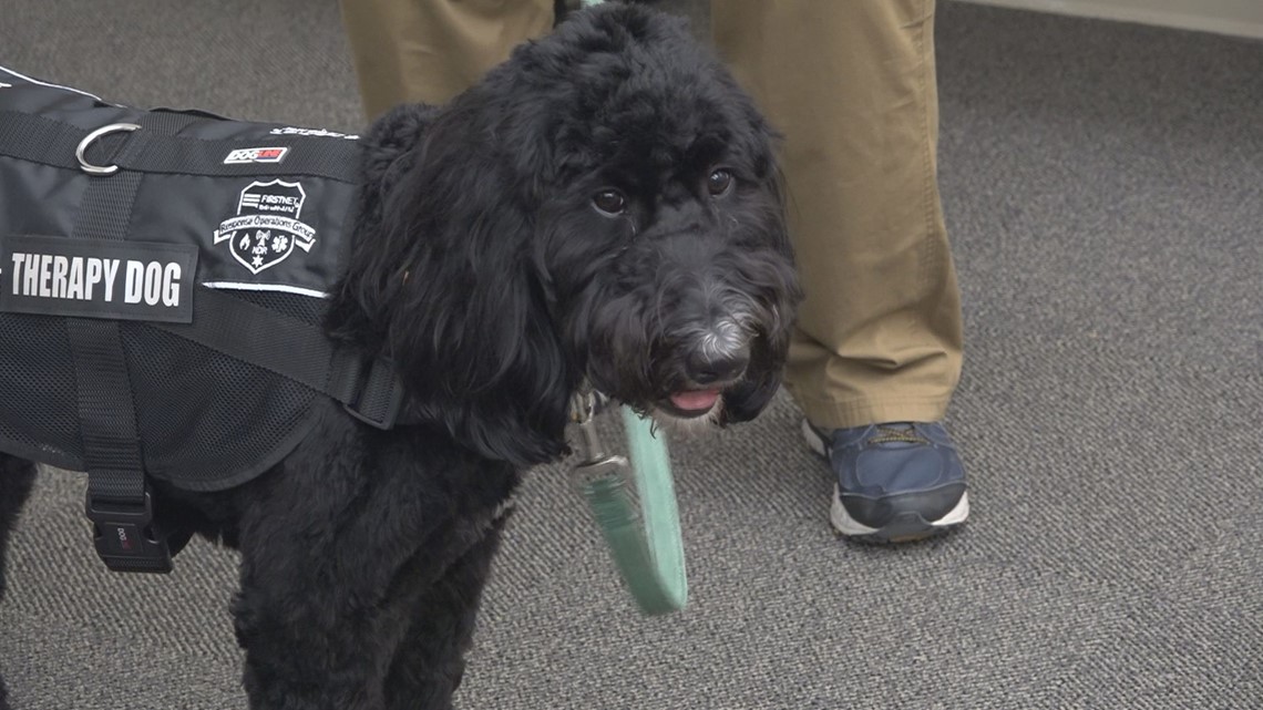Grand Rapids first responders add new assistant: Hope, the therapy dog - Vimarsana News