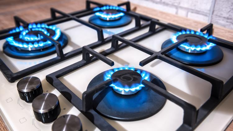 Michigan state rep introduces 'Gas Stove Appreciation Day'