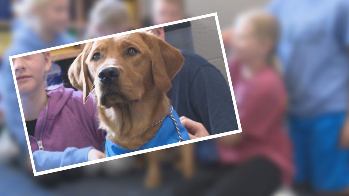 Meet the dog making a difference at an Ottawa Co. school - Vimarsana News