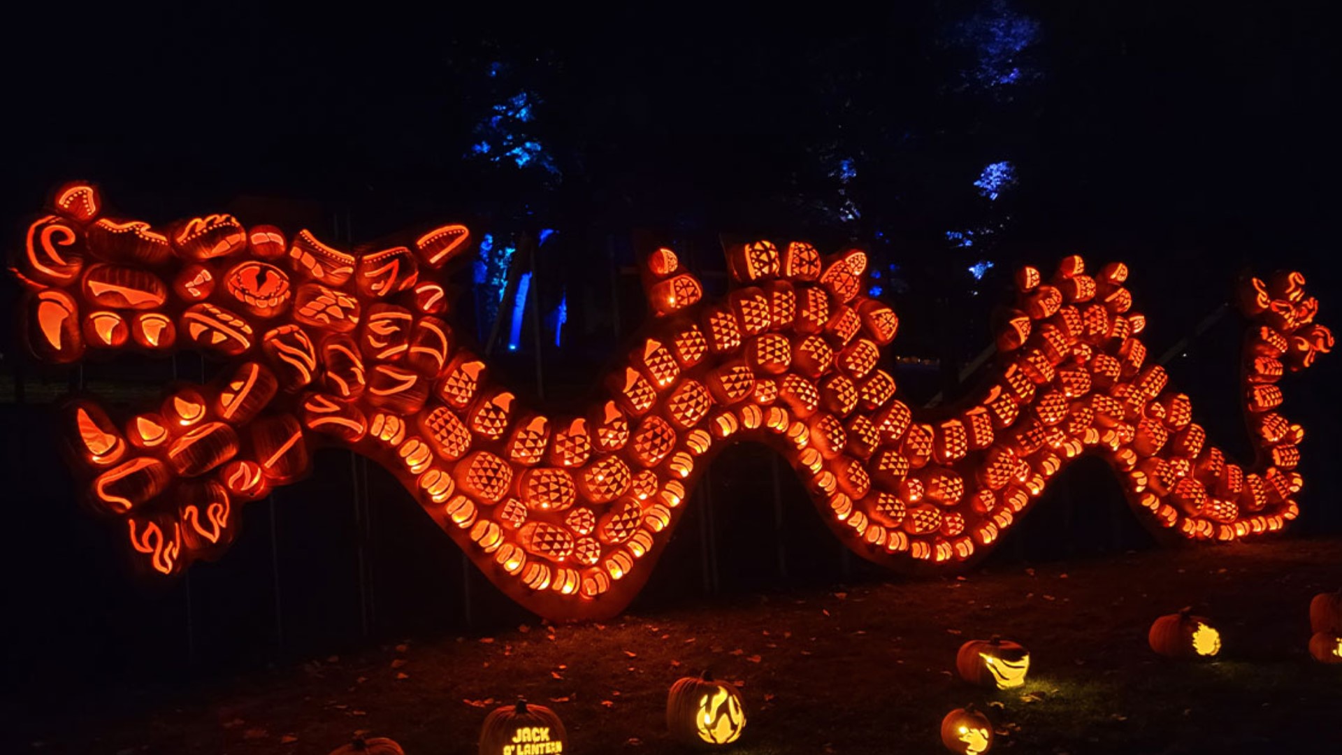 Thousands of carved pumpkins are set up in Millennium Park for Jack O'Lantern World. 13 ON YOUR SIDE's Blake Hansen stopped by to learn more ahead of kickoff.