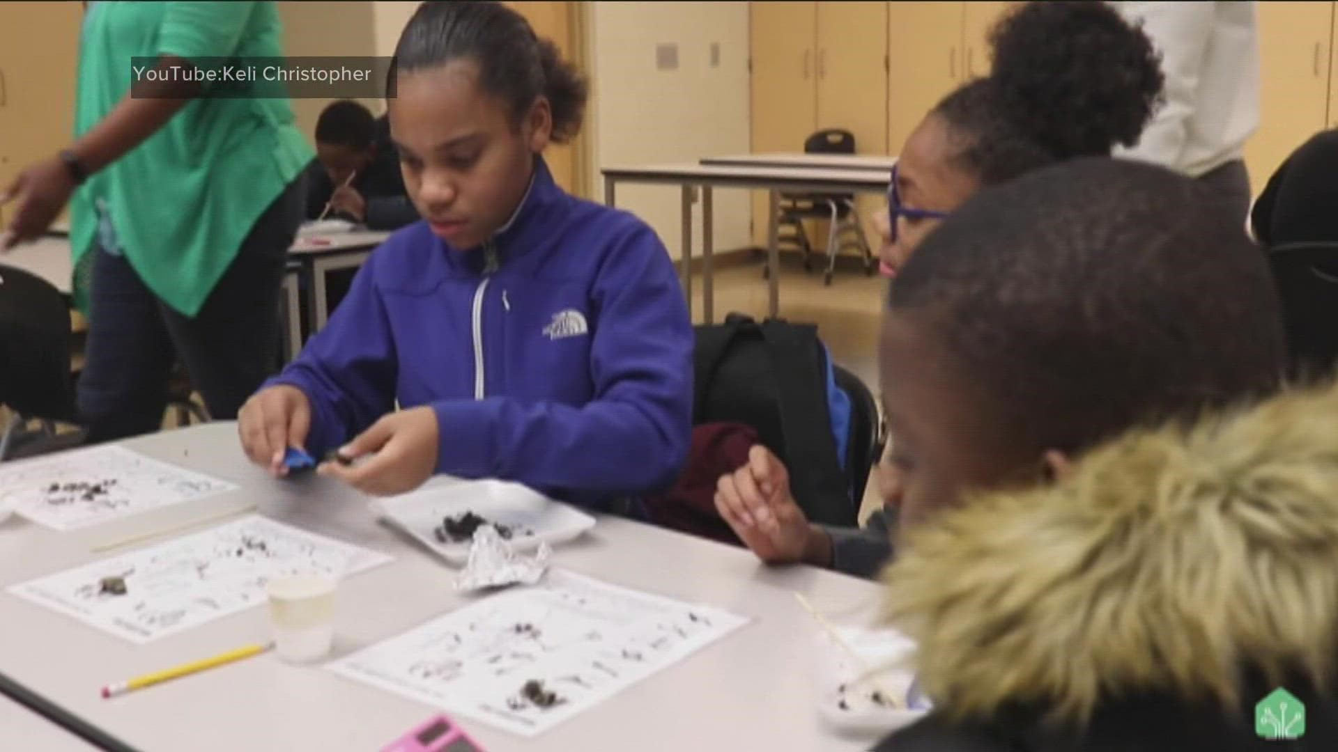 Nonprofit STEM Greenhouse partners with schools to provide quality education.
