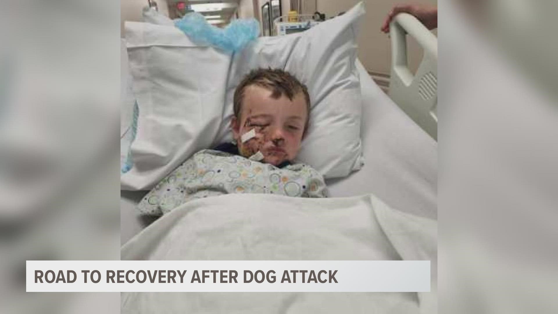 A boy is recovering in the hospital after his family says two dogs attacked him Thursday afternoon in Howard City. Michigan State Police are investigating.
