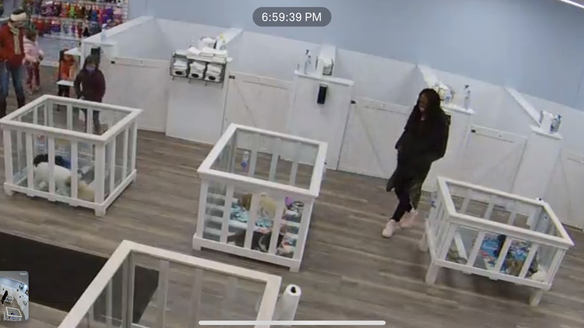 Barking Boutique seeking woman wanted for shoplifting puppy from