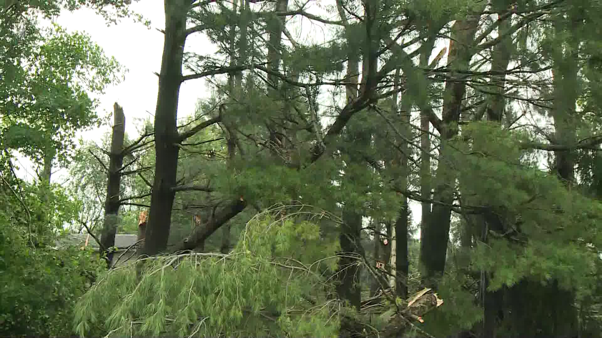 Power being restored in Southwest Michigan after storms | wzzm13.com