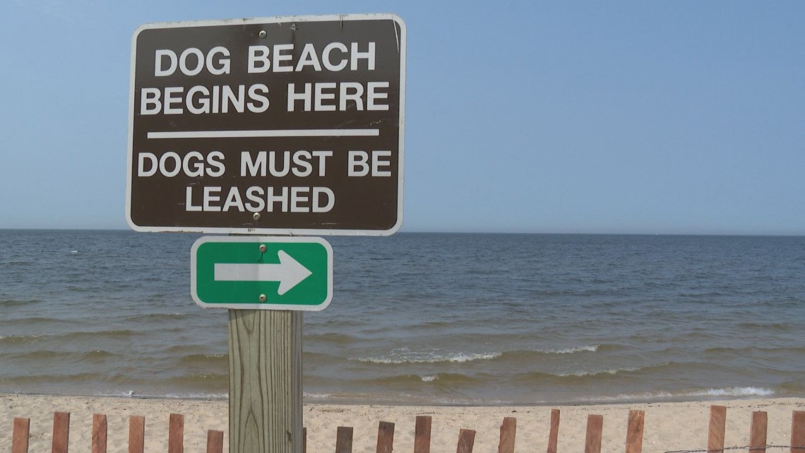 are dogs allowed on beaches in michigan