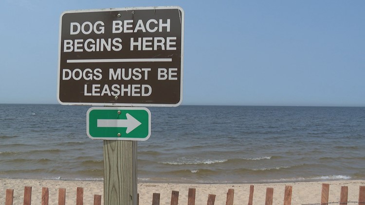 are dogs allowed in lake michigan