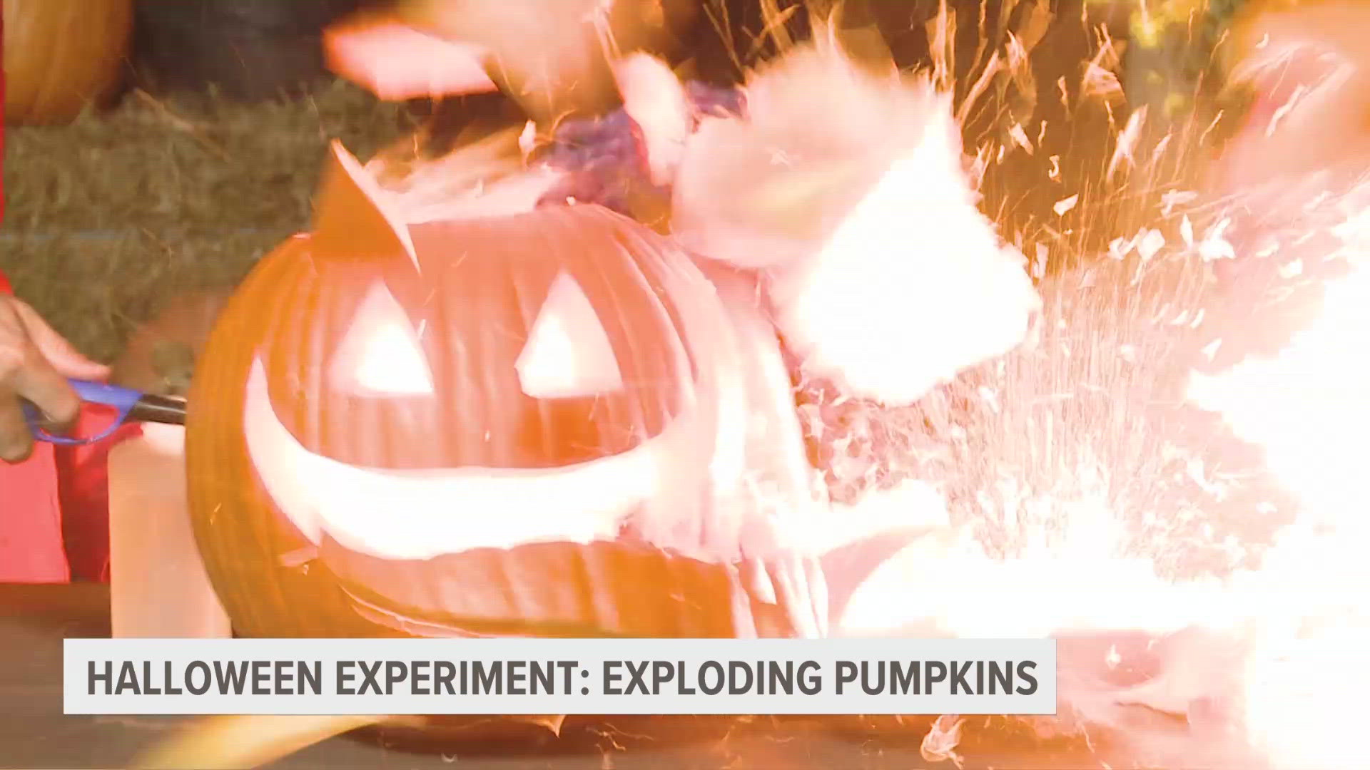 Calvin University professor Chad Tatko joins Samantha Jacques on Halloween to show off some spooky fun with a science experiment involving pumpkins.