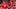 Perron's 3rd-period hat trick lifts Red Wings past Penguins