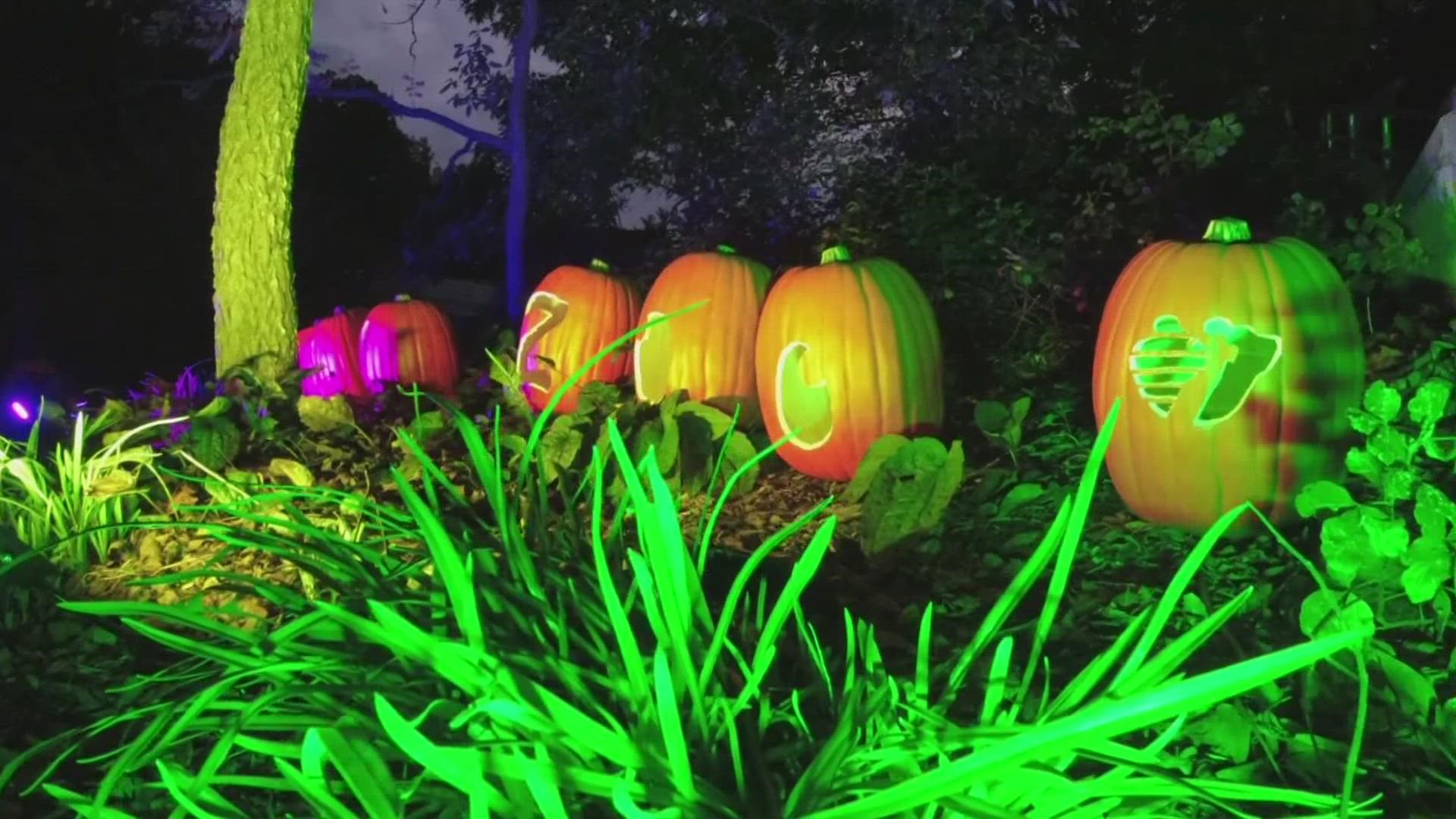 The Wixom-based Bluewater Technologies teamed up with John Ball Zoo in 2020 for "IllumiZoo." Since then, the idea has expanded across the country.
