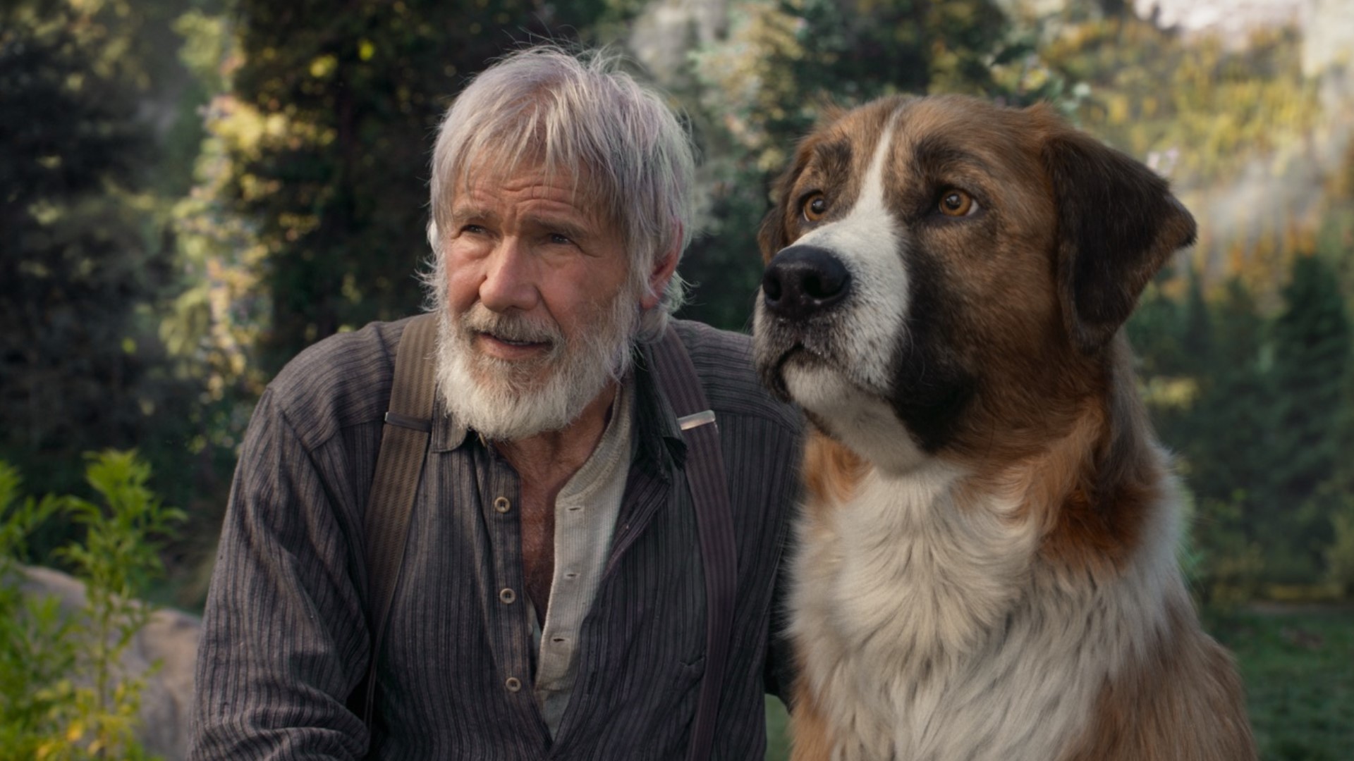 Jackie Solberg reviews a new Harrison Ford movie.