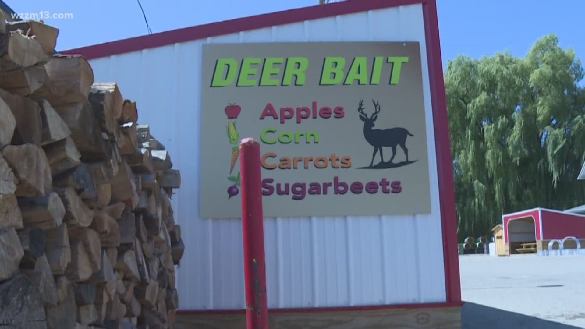 Deer disease prompts widespread baiting ban