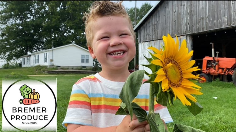 'A sea of sunflowers': Family farm in Hudsonville brings joy through U-pick experience