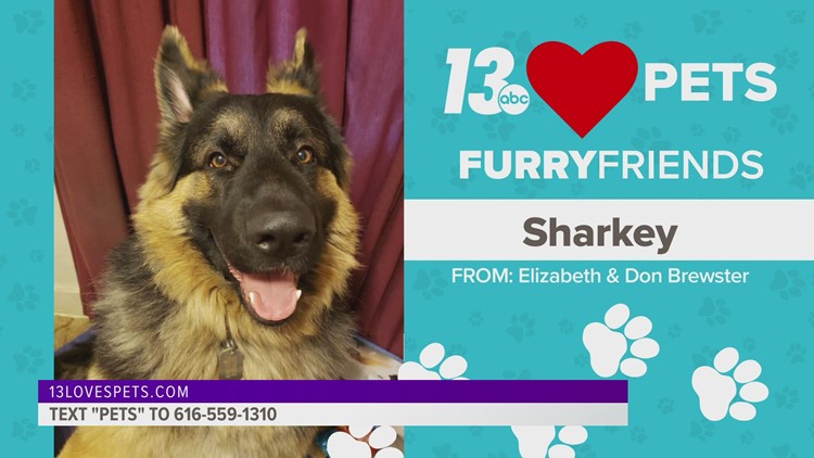 Furry Friends:  June 9, 2022 | Sharkey and BellaBlue