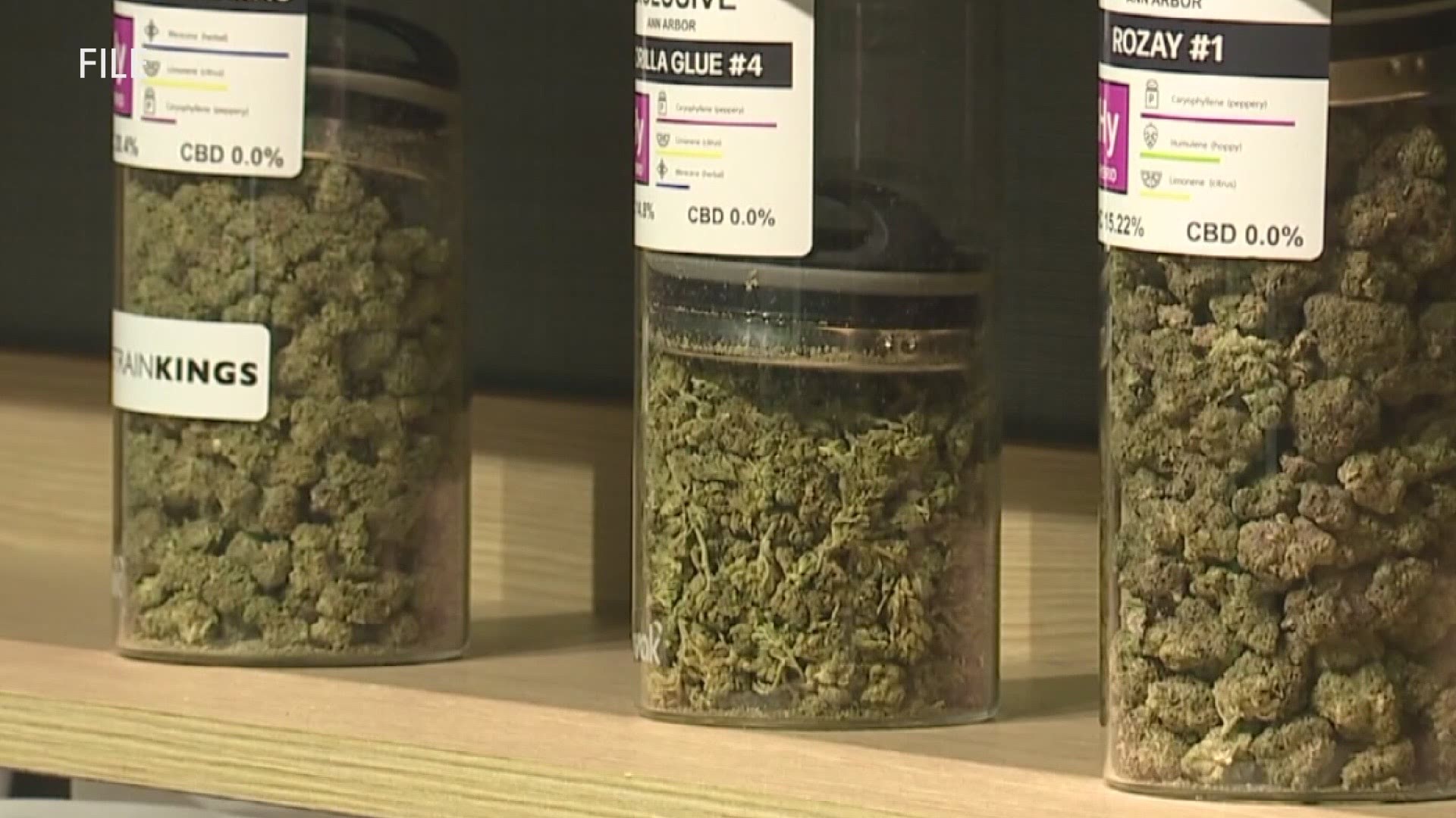 The City of Muskegon Heights granted 18 conditional marijuana licenses to 12 investors. City Manager Troy Bells says pot shops could open for business this year.