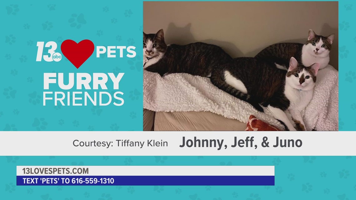 Furry Friends:  February 2, 2023 | Johnny, Jeff, & Juno and Blaze